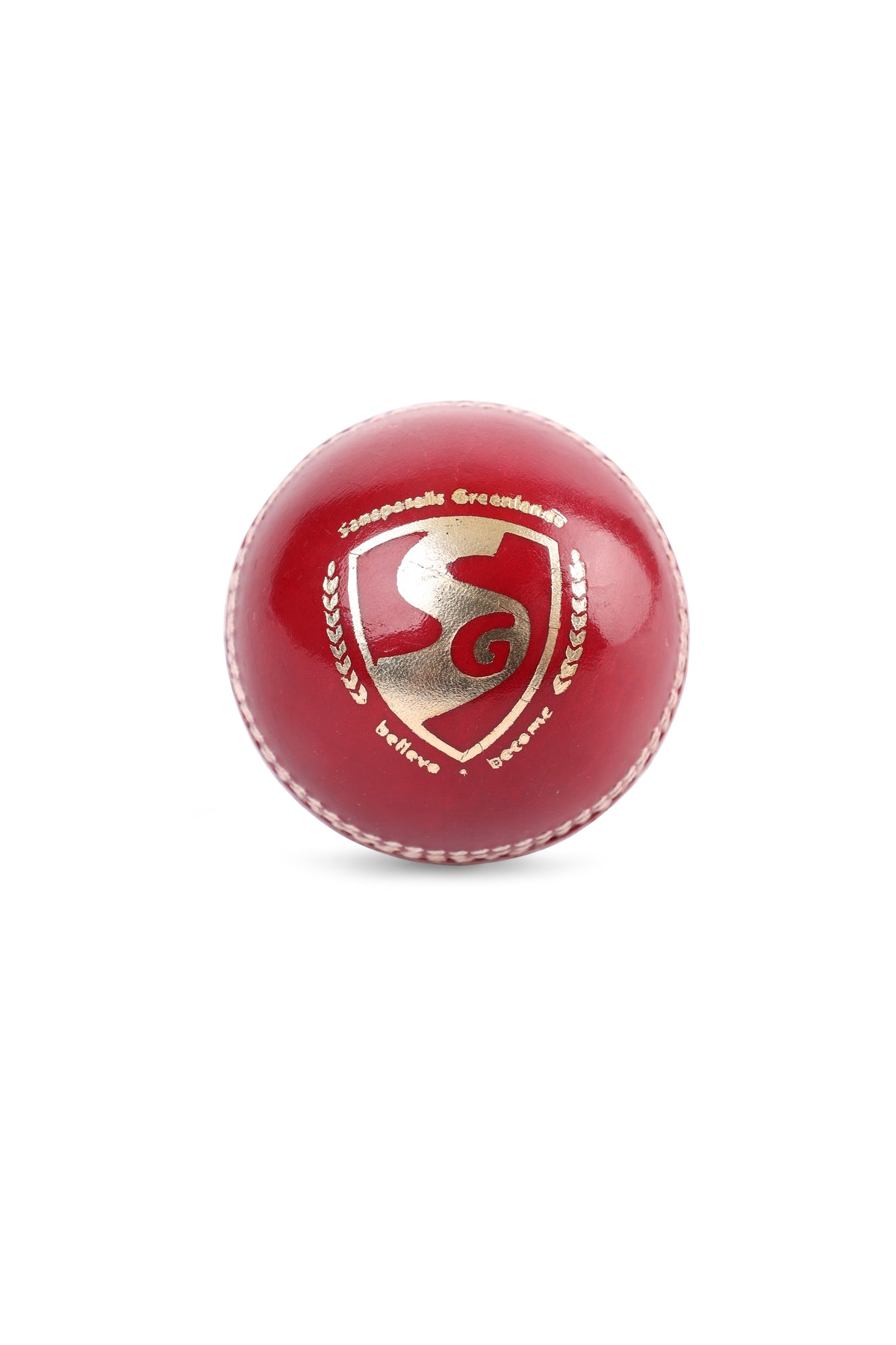 SG Shield 20 Cricket Lederball Rot