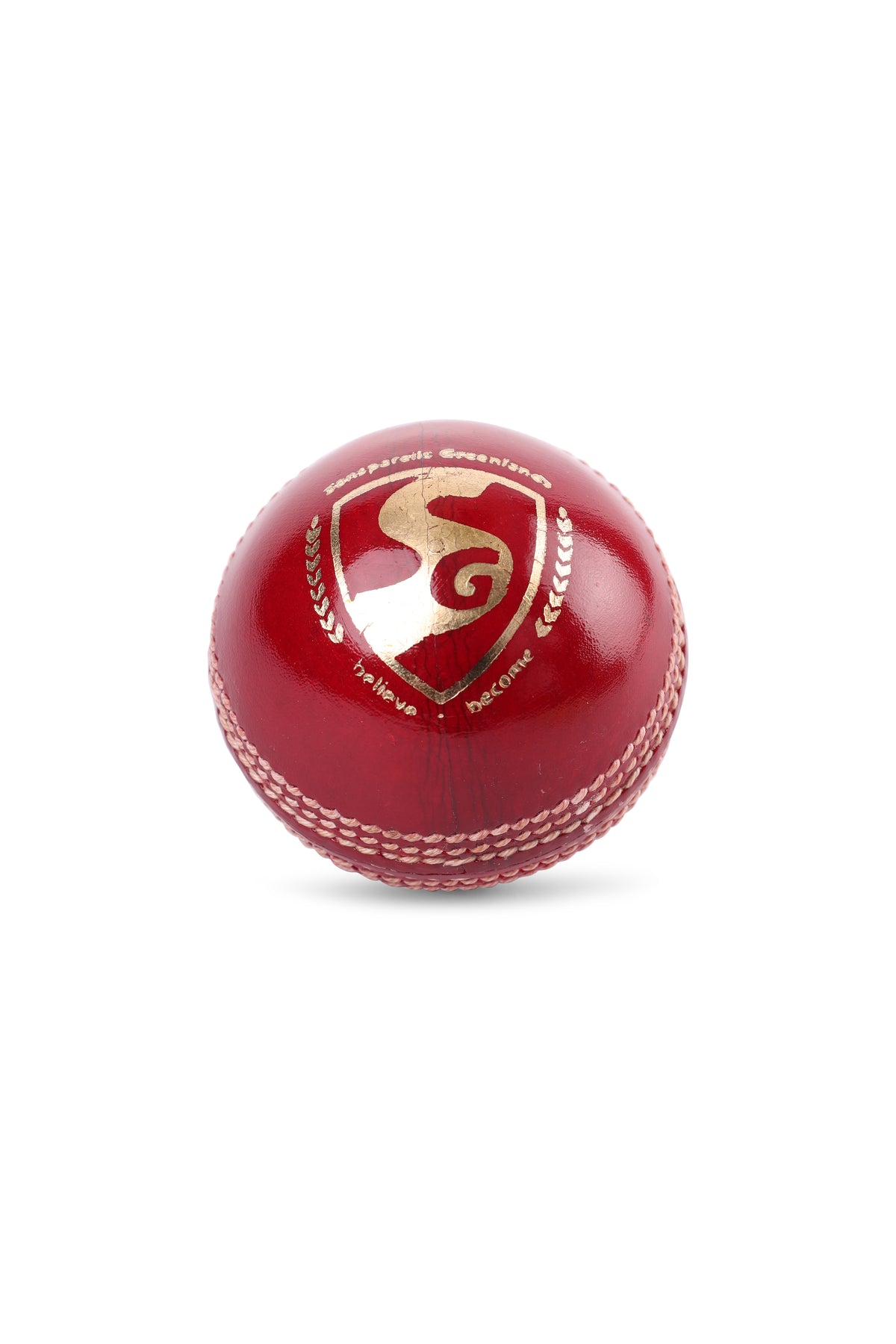 SG Shield 30 Cricket Lederball Rot