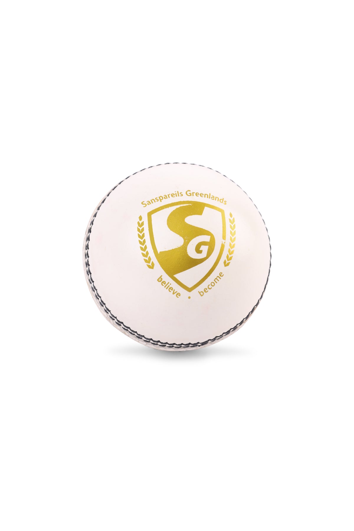 SG Shield 20 Cricket Lederball Weiß