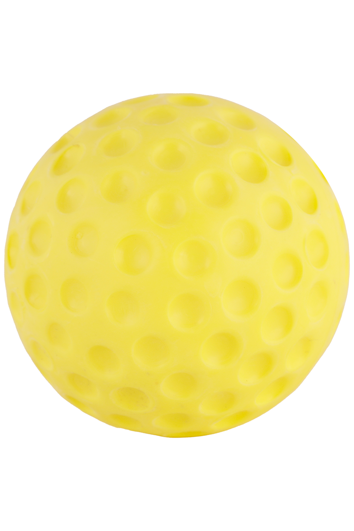 SS Bowling Machine Cricket Practice Ball