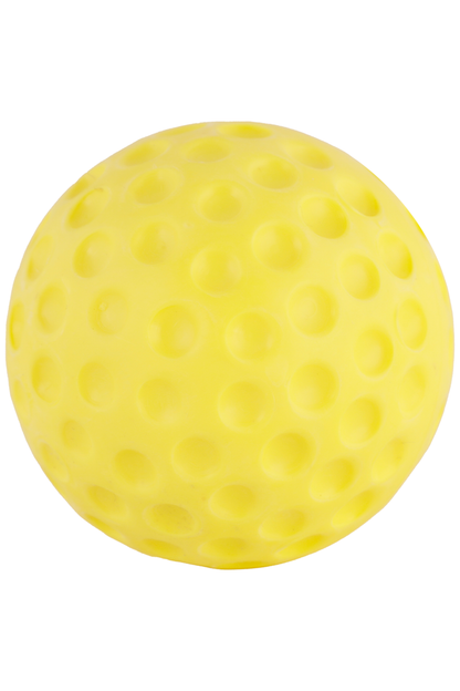 SS Bowling Machine Cricket Practice Ball