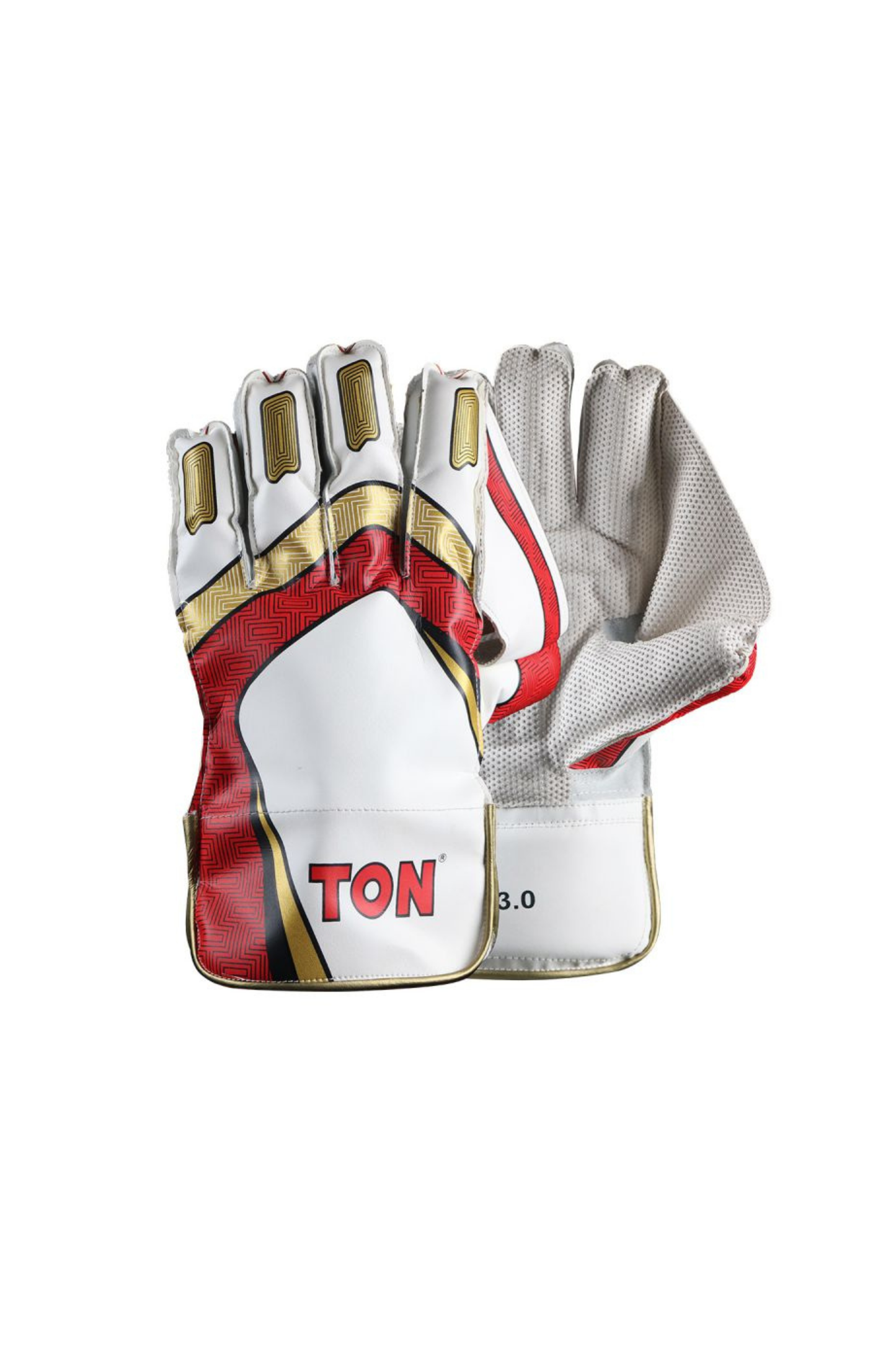 SS Ton Pro 3.0 Cricket Wicket Keeping Gloves